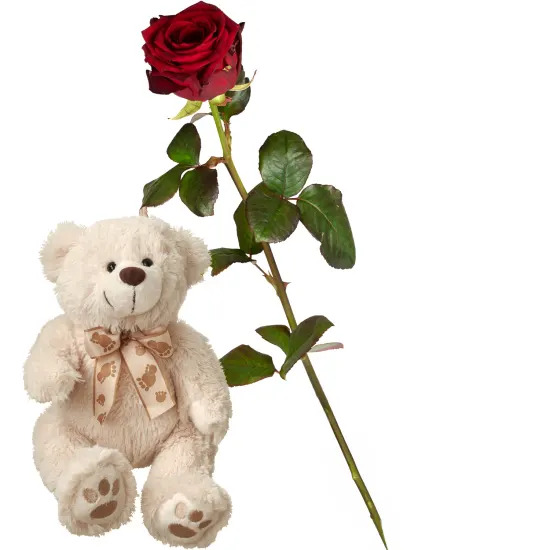Rose mit Teddybär 